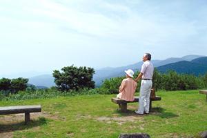 広島市で結婚指指輪や婚約指輪を探すなら